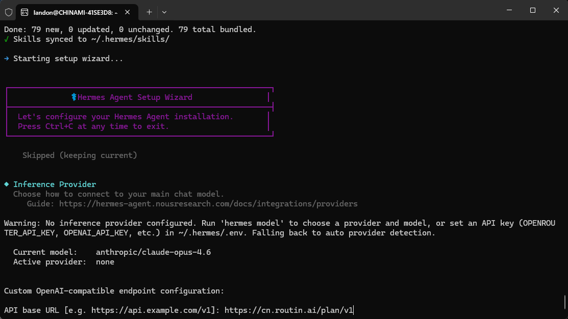 选择自定义模型配置
